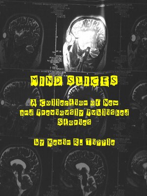 cover image of Mind Slices